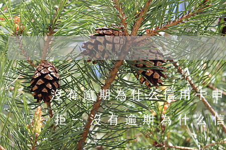 沒有逾期為什么信用卡申請(qǐng)被拒-沒有逾期為什么信用卡申請(qǐng)被拒怎么辦