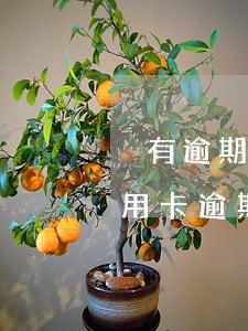 沒有逾期為什么信用卡被凍結(jié)（信用卡逾期沒有鎖卡會起訴嗎）
