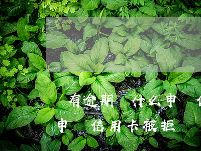 沒有逾期為什么申請信用卡被拒(征信沒問題申請信用卡被拒)