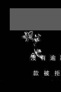 沒有逾期為什么貸款失敗(沒有逾期為什么貸款被拒)