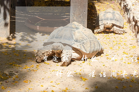 沒有逾期為什么辦不下信用卡-沒有逾期記錄為什么辦理信用卡老是不通過
