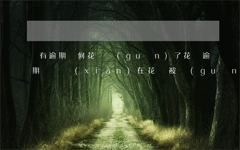 沒有逾期為何花唄關(guān)了(花唄逾期沒還,現(xiàn)在花唄被關(guān)閉了記錄也沒了,還要還錢嗎)
