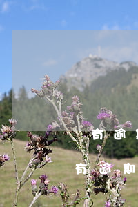 沒有逾期申請信用卡被拒絕(為什么信用卡沒有逾期無緣無故被限制了)