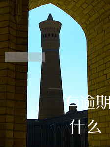 沒有逾期申請記錄卻顯示風險項-沒有逾期為什么風險度高