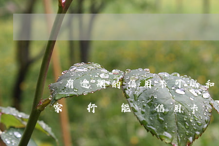 沒有逾期的信用卡可以和銀行談嗎(有逾期哪家銀行還能辦信用卡)