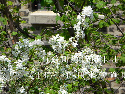 沒有逾期的信用卡注銷了會(huì)影響征信嗎（信用卡沒逾期可以注銷嗎）