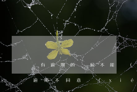 沒有逾期的時候不能協(xié)商還款嗎(逾期不同意協(xié)商還款怎么辦)