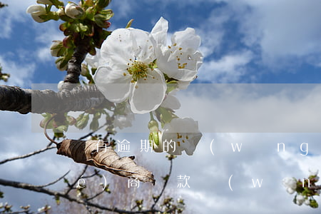 沒有逾期的網(wǎng)貸可以協(xié)商還款，網(wǎng)貸未逾期也能協(xié)商還款，你了解嗎？