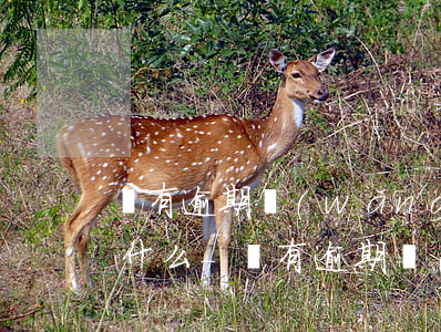 沒有逾期網(wǎng)商貸給我打電話干什么-沒有逾期網(wǎng)商貸給我打電話干什么呢