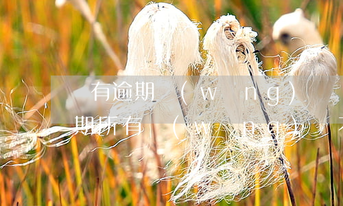 沒有逾期網(wǎng)貸總是不過(沒有逾期,所有網(wǎng)貸不通過的原因)
