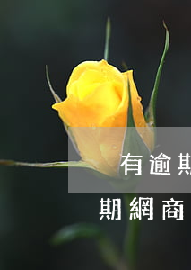 沒有逾期網商銀行打電話有什么事-沒有逾期網商銀行打電話有什么事嗎