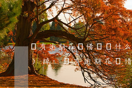 沒有逾期花唄借唄為什么會被關(guān)掉-沒有逾期花唄借唄為什么會被關(guān)掉呢