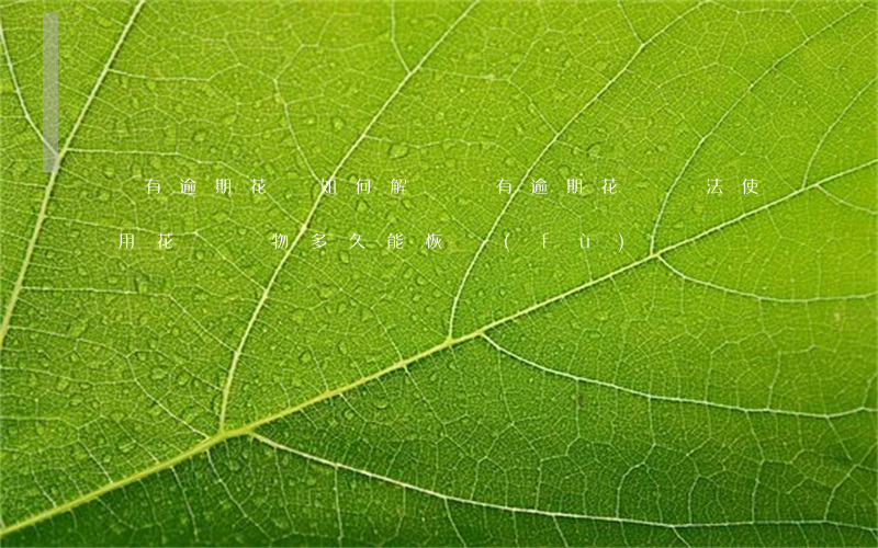 沒有逾期花唄如何解凍(沒有逾期花唄無法使用花唄購物多久能恢復(fù))