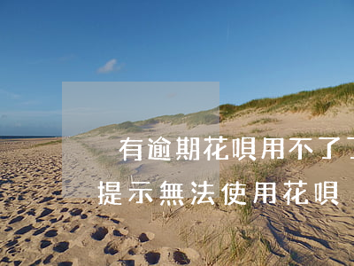 沒有逾期花唄用不了了(花唄從未逾期為什么提示無法使用花唄)