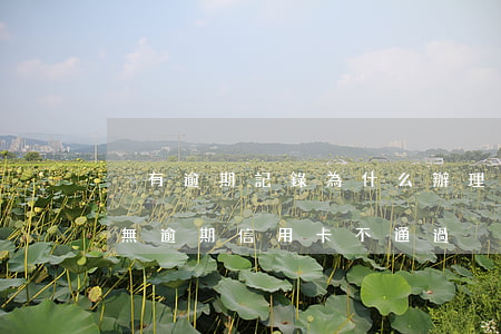 沒有逾期記錄為什么辦理信用卡老是不通過（無逾期信用卡不通過）