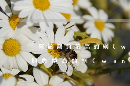 沒有逾期負債高的網(wǎng)貸(沒有逾期負債高的網(wǎng)貸)