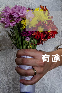 沒有逾期過去哪里貸款
