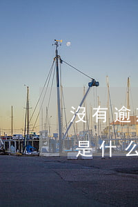 沒有逾期過征信是什么顏色(沒有逾期過征信是什么顏色的)