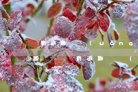 沒有逾期過網(wǎng)貸會打電話給親朋嗎-沒有逾期過網(wǎng)貸會打電話給親朋嗎是真的嗎