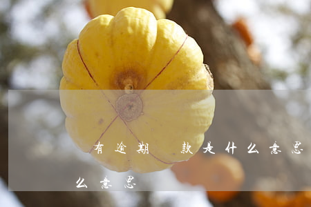 沒有逾期還款是什么意思(還款后不算逾期什么意思)