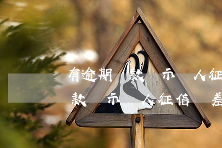 沒有逾期還款顯示個人征信較差-沒有逾期還款顯示個人征信較差怎么辦