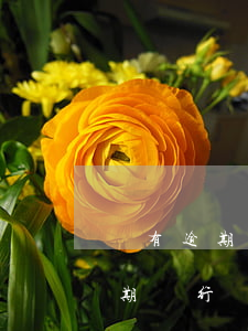 沒有逾期銀行會要求你全額還款嗎-沒有逾期銀行會要求你全額還款嗎是真的嗎
