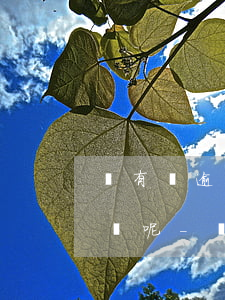沒有過逾期為什么網(wǎng)貸會被拒絕呢-沒有過逾期為什么網(wǎng)貸會被拒絕呢怎么辦