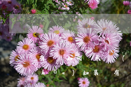 沒有遺囑如何繼承遺產(chǎn)(房產(chǎn)如果沒有遺囑誰可以繼承)