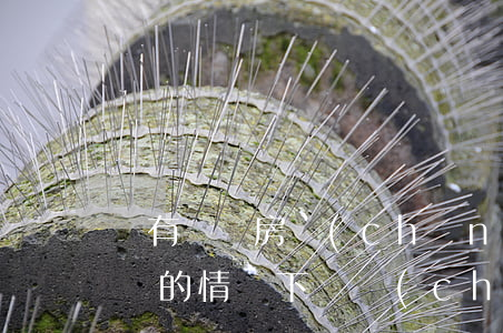 沒有遺囑房產(chǎn)怎么繼承(沒有遺囑的情況下財產(chǎn)如何繼承)