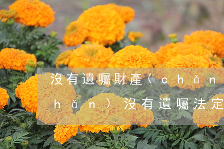 沒有遺囑財產(chǎn)怎么分(房產(chǎn)沒有遺囑法定怎么分)