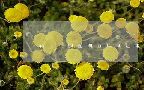 沒有還上的逾期五年以后能定掉嗎