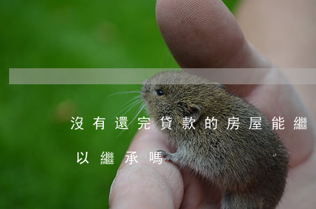 沒有還完貸款的房屋能繼承嗎(貸款沒還完可以繼承嗎)