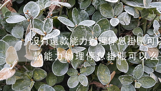 沒有還款能力辦理停息掛賬可以么-沒有還款能力辦理停息掛賬可以么