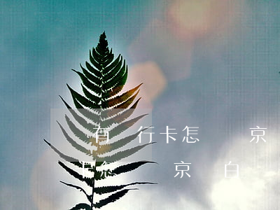 沒有銀行卡怎樣給京東白條還款-沒有銀行卡怎樣給京東白條還款呢