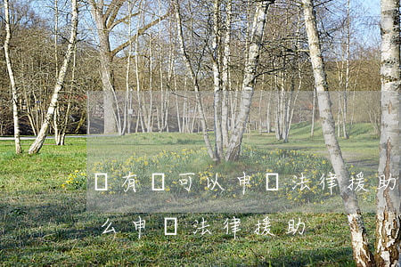 沒有錢可以申請法律援助嗎(工資錢拿不到怎么申請法律援助)