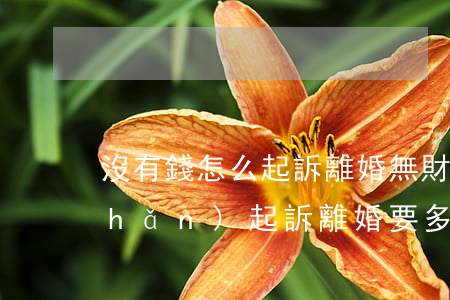 沒有錢怎么起訴離婚(無財(cái)產(chǎn)起訴離婚要多少錢)