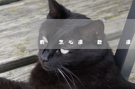 沒有錢怎么退臟款(沒錢退贓怎么辦)