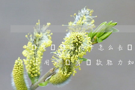 沒有錢還信用卡怎么去協(xié)商解決(信用卡沒有還款能力如何協(xié)商)