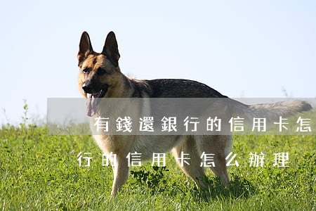 沒有錢還銀行的信用卡怎么辦-沒有錢還銀行的信用卡怎么辦理