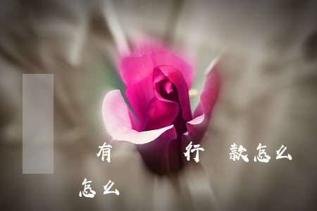 沒有錢還銀行貸款怎么辦(銀行貸款沒錢還了怎么辦)