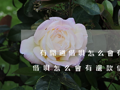 沒有開通借唄怎么會有還款信息-沒有開通借唄怎么會有還款信息呢