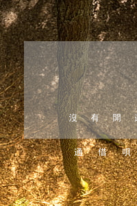 沒有開通借唄為什么收到短信還款-沒有開通借唄為什么收到短信還款通知