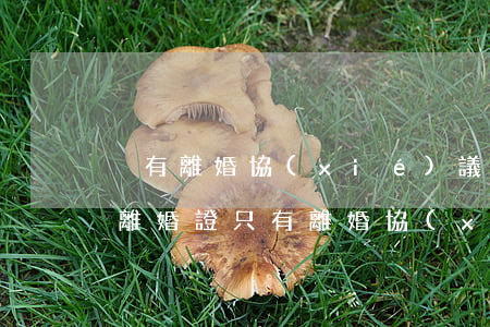 沒有離婚協(xié)議書可以離婚嗎(沒有離婚證只有離婚協(xié)議書算離婚嗎)