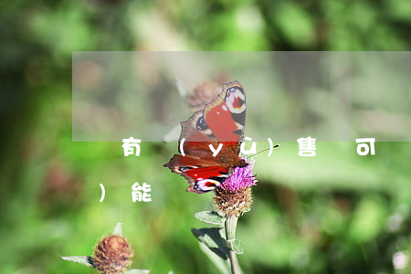 沒有預(yù)售許可證的房產(chǎn)能買嗎