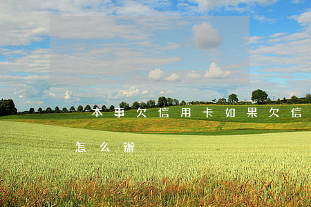 沒本事欠信用卡 如果欠信用卡沒有償還能力怎么辦