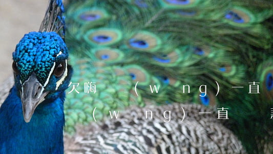 沒欠嗨錢網(wǎng)一直讓還款(沒欠嗨錢網(wǎng)一直讓還款)