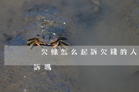 沒欠條怎么起訴欠錢的人(欠錢沒有欠條能起訴嗎)