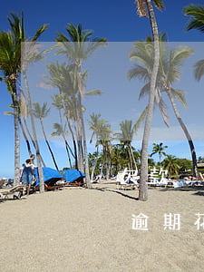沒欠款沒逾期花唄五千額度用不了-沒欠款沒逾期花唄五千額度用不了怎么辦