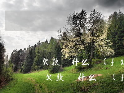 沒欠款為什么發(fā)信息過來說逾期-沒欠款為什么發(fā)信息過來說逾期了