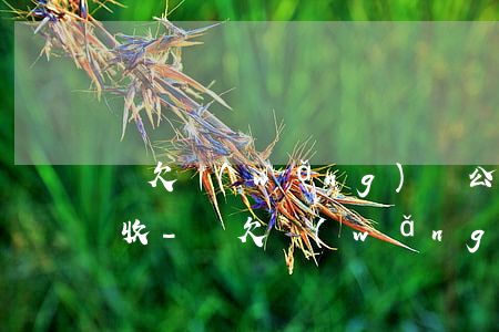 沒欠網(wǎng)貸公司錢為什么會被催收-沒欠網(wǎng)貸公司錢為什么會被催收呢